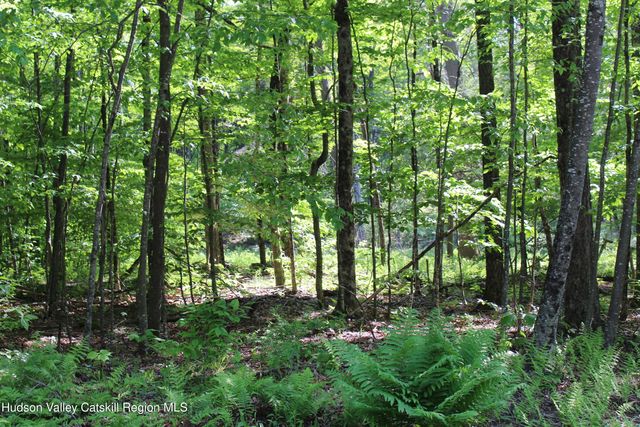 380 Terrace Drive, Lexington, NY 12468