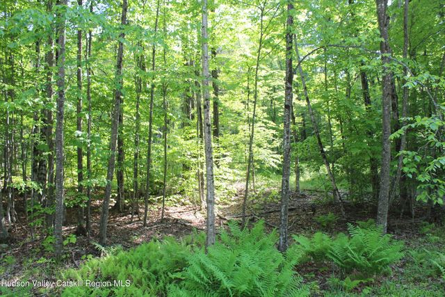 380 Terrace Drive, Lexington, NY 12468