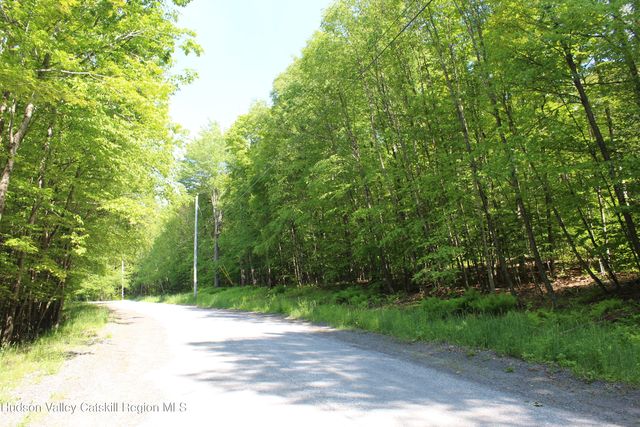 380 Terrace Drive, Lexington, NY 12468