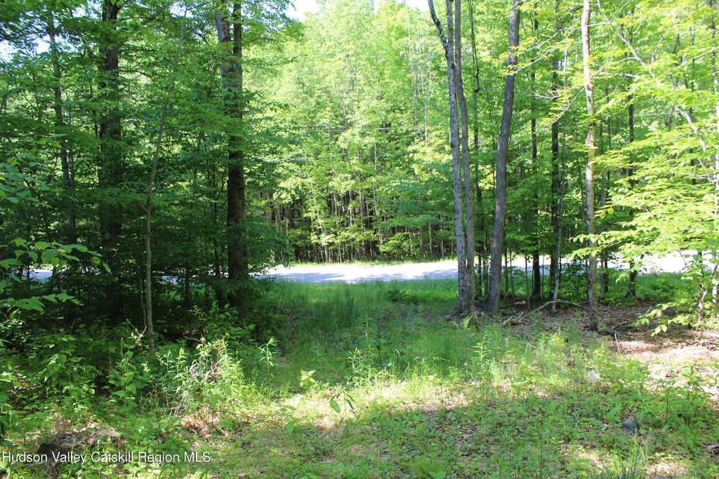 380 Terrace Drive, Lexington, NY 12468