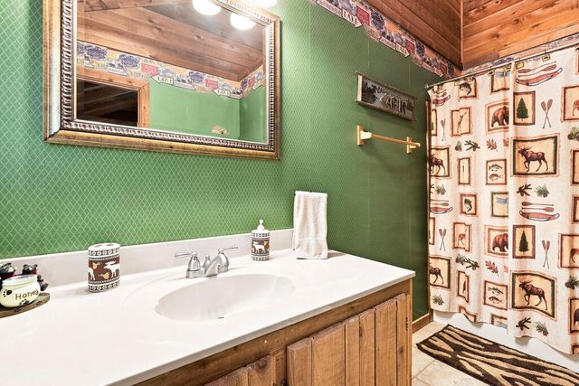 219 Nantahala Pass Road, Blue Ridge, GA 30513