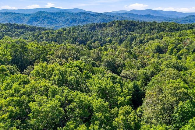 219 Nantahala Pass Road, Blue Ridge, GA 30513