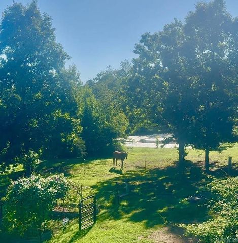 719 Oakvale Road, Shirley, AR 72153