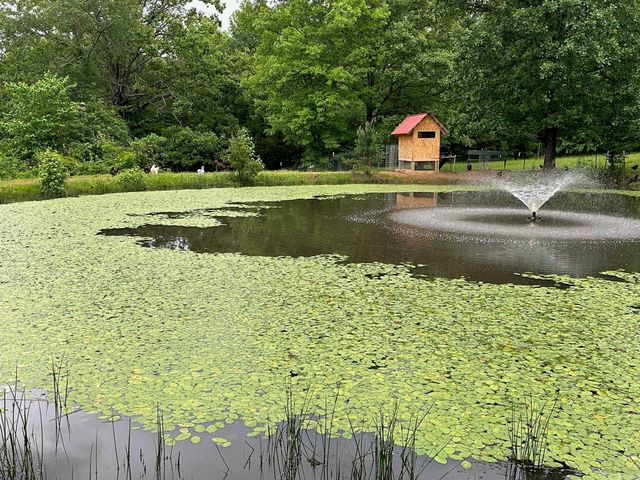 719 Oakvale Road, Shirley, AR 72153