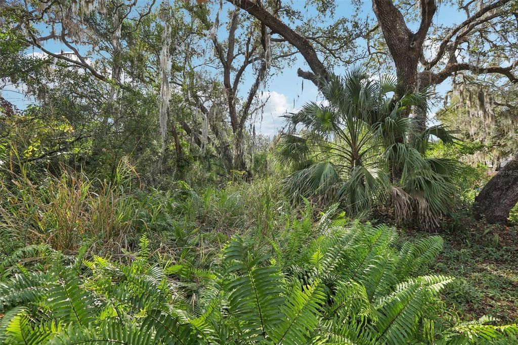 Image 28 of property listing at 12707 LINDA DRIVE, Tampa, FL 33612