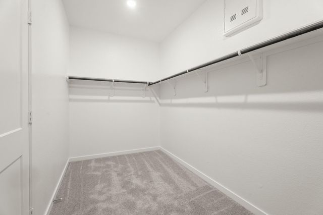 406 Elf Owl Court, Willis, TX 77318