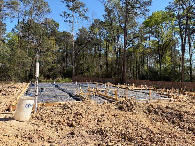 406 Elf Owl Court, Willis, TX 77318