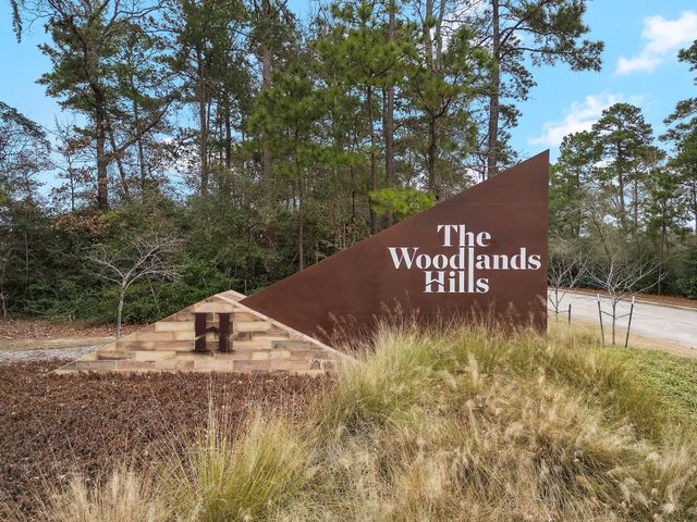 406 Elf Owl Court, Willis, TX 77318