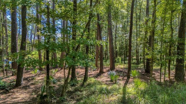 38 Backfield Road, Walterboro, SC 29488