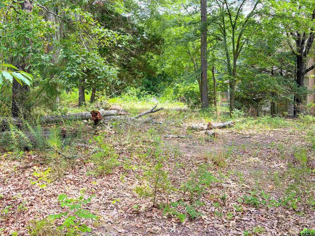 2807 J Cupit Ct, Tyler, TX 75709