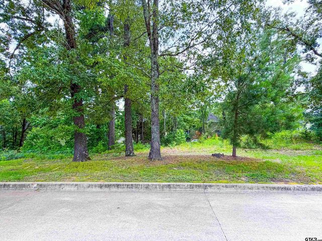 2807 J Cupit Ct, Tyler, TX 75709