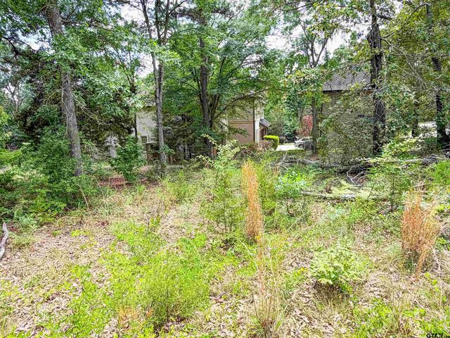 2807 J Cupit Ct, Tyler, TX 75709