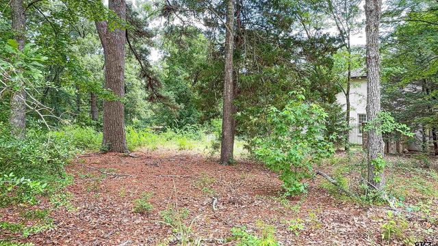2807 J Cupit Ct, Tyler, TX 75709