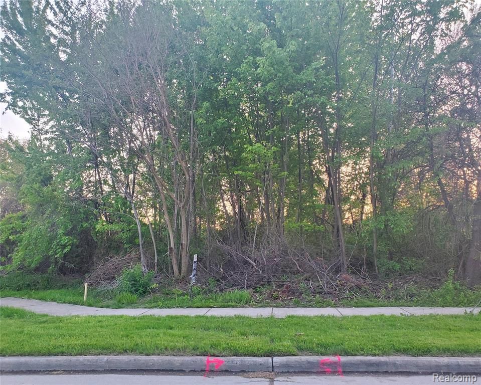 14290 Reeck Road, Southgate, MI 48195