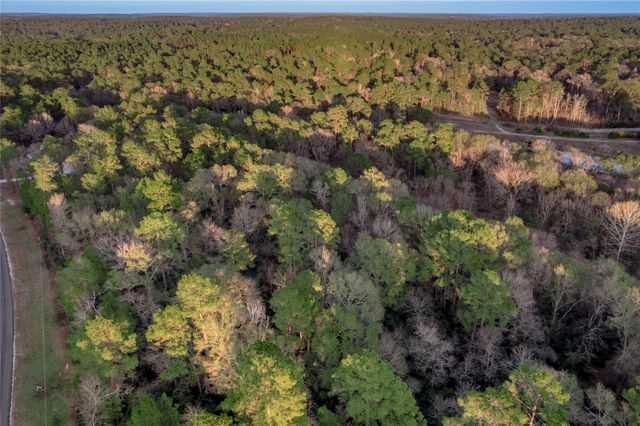 306 Sundog Road, Huntsville, TX 77340