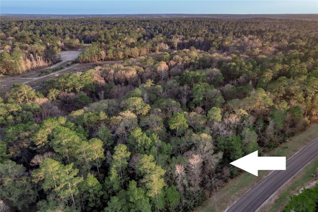 306 Sundog Road, Huntsville, TX 77340