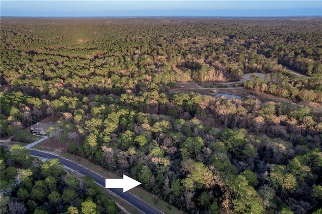 306 Sundog Road, Huntsville, TX 77340