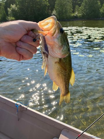 3718 Peninsular, Grawn, MI 49637