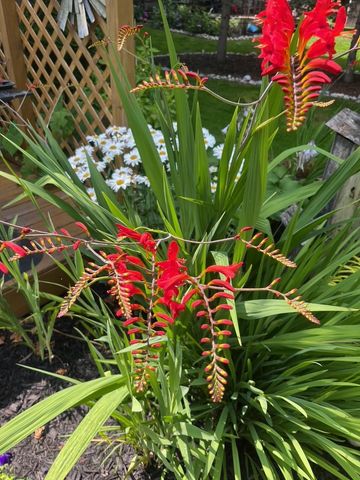 3718 Peninsular, Grawn, MI 49637