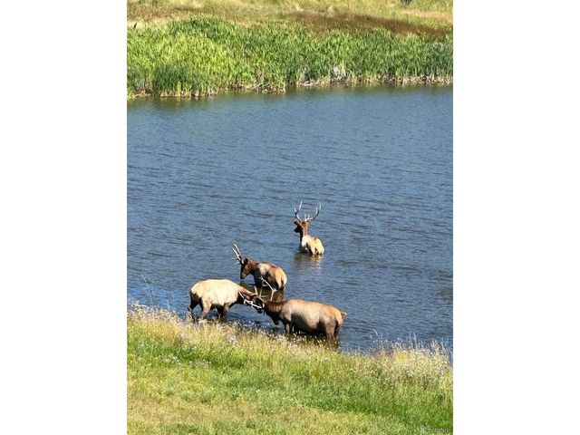 7082 Silverhorn Dr, Evergreen, CO 80439