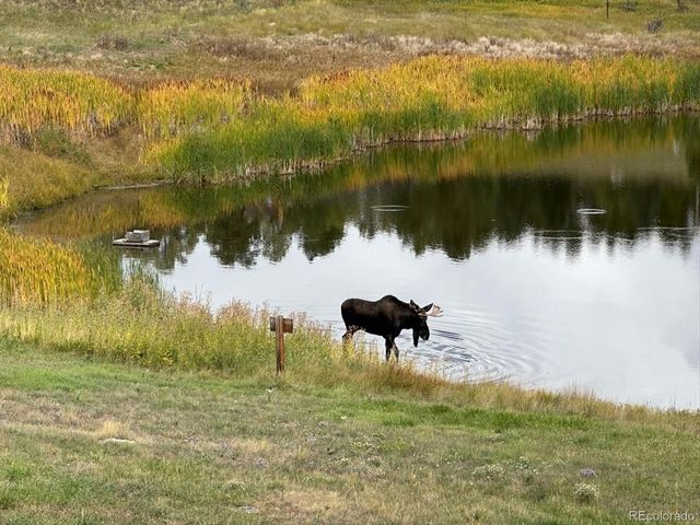 7082 Silverhorn Dr, Evergreen, CO 80439