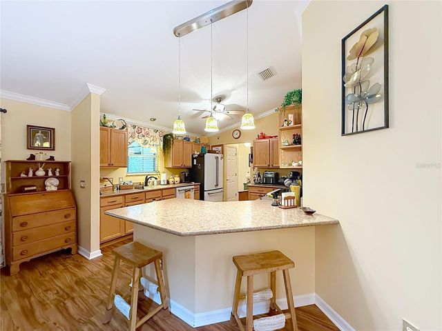 1016 MATTHEW AVENUE, Lady Lake, FL 32159