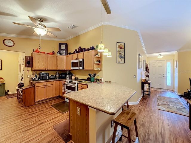1016 MATTHEW AVENUE, Lady Lake, FL 32159