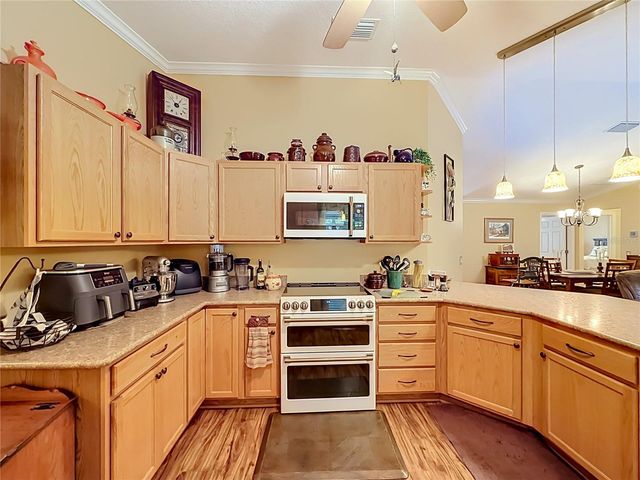 1016 MATTHEW AVENUE, Lady Lake, FL 32159