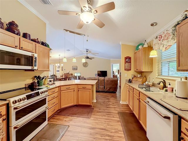 1016 MATTHEW AVENUE, Lady Lake, FL 32159