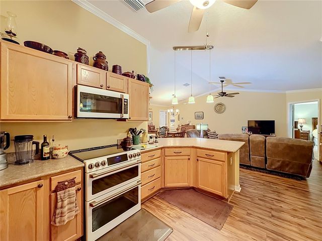 1016 MATTHEW AVENUE, Lady Lake, FL 32159