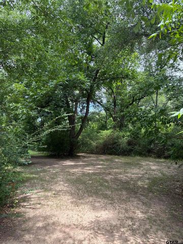 609 E Quitman St., Alba, TX 75410