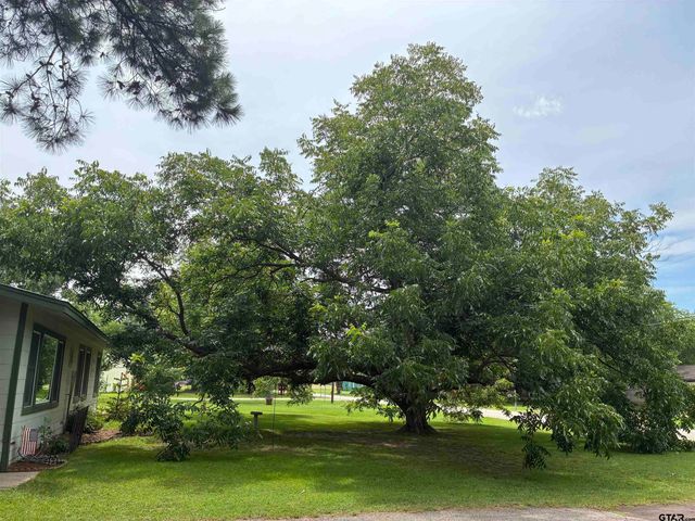 609 E Quitman St., Alba, TX 75410
