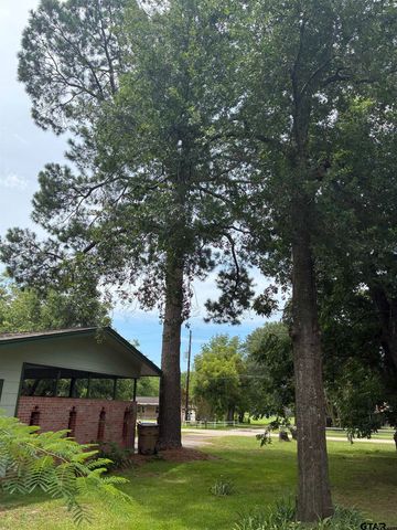 609 E Quitman St., Alba, TX 75410