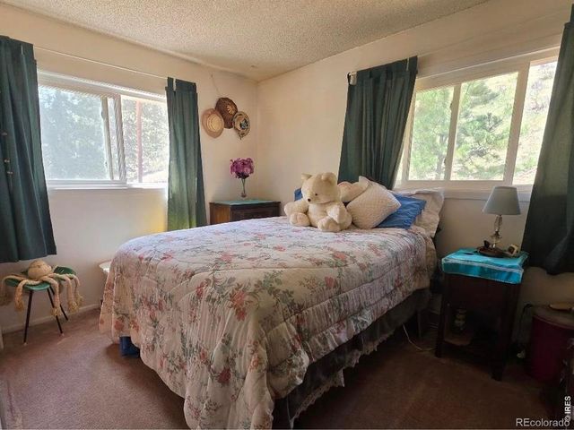 135 Brookside Drive, Bailey, CO 80421