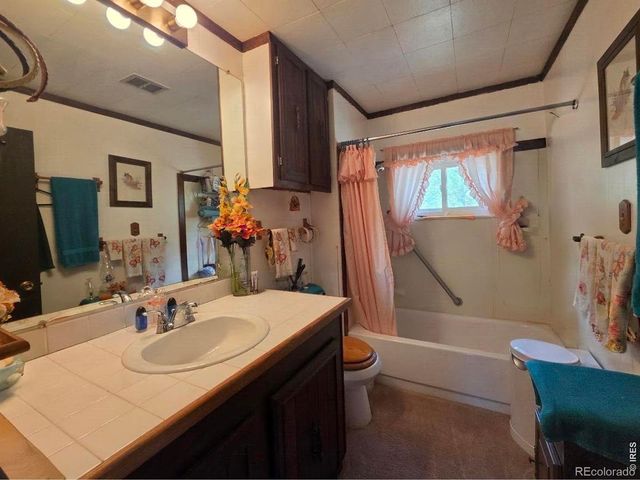 135 Brookside Drive, Bailey, CO 80421