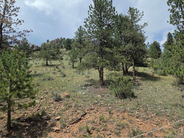 135 Brookside Drive, Bailey, CO 80421