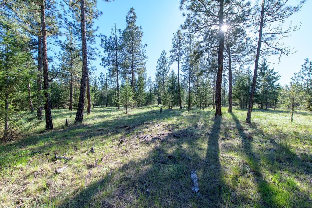 2650 Sophie Lake Road, Eureka, MT 59917 photo 10