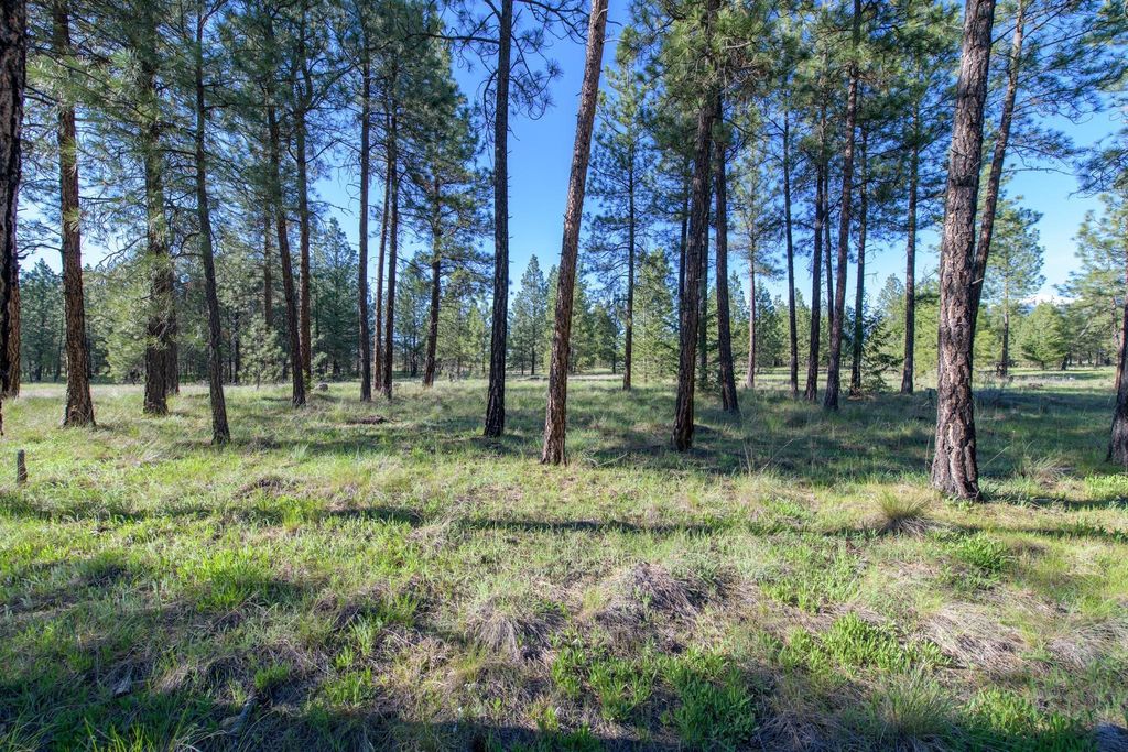 2650 Sophie Lake Road, Eureka, MT 59917 photo 11