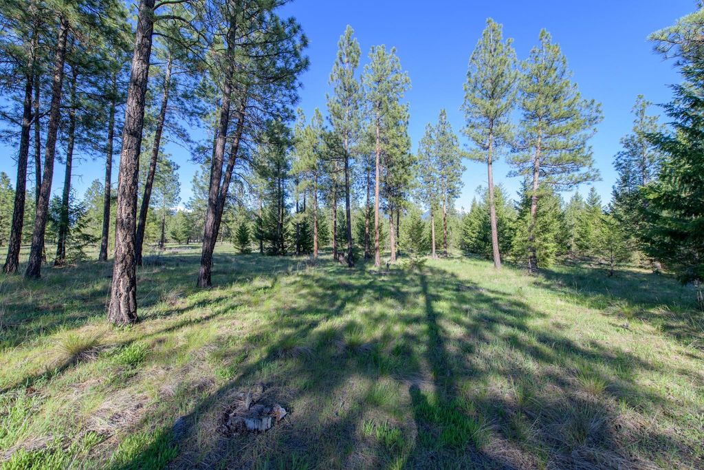 2650 Sophie Lake Road, Eureka, MT 59917 photo 12