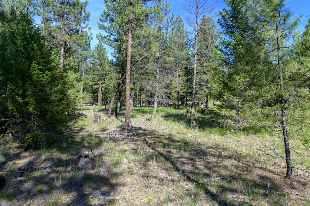 2650 Sophie Lake Road, Eureka, MT 59917 photo 15