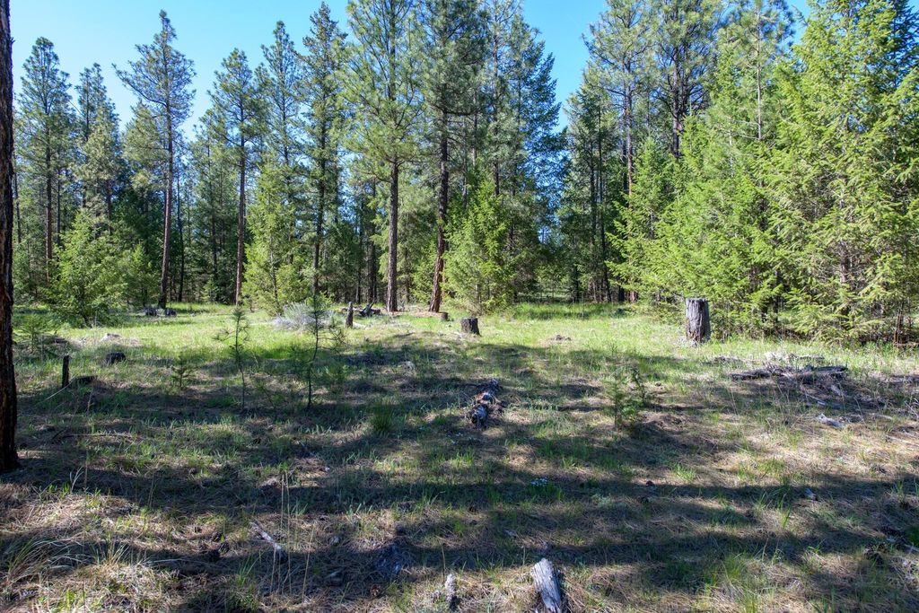 2650 Sophie Lake Road, Eureka, MT 59917 photo 16