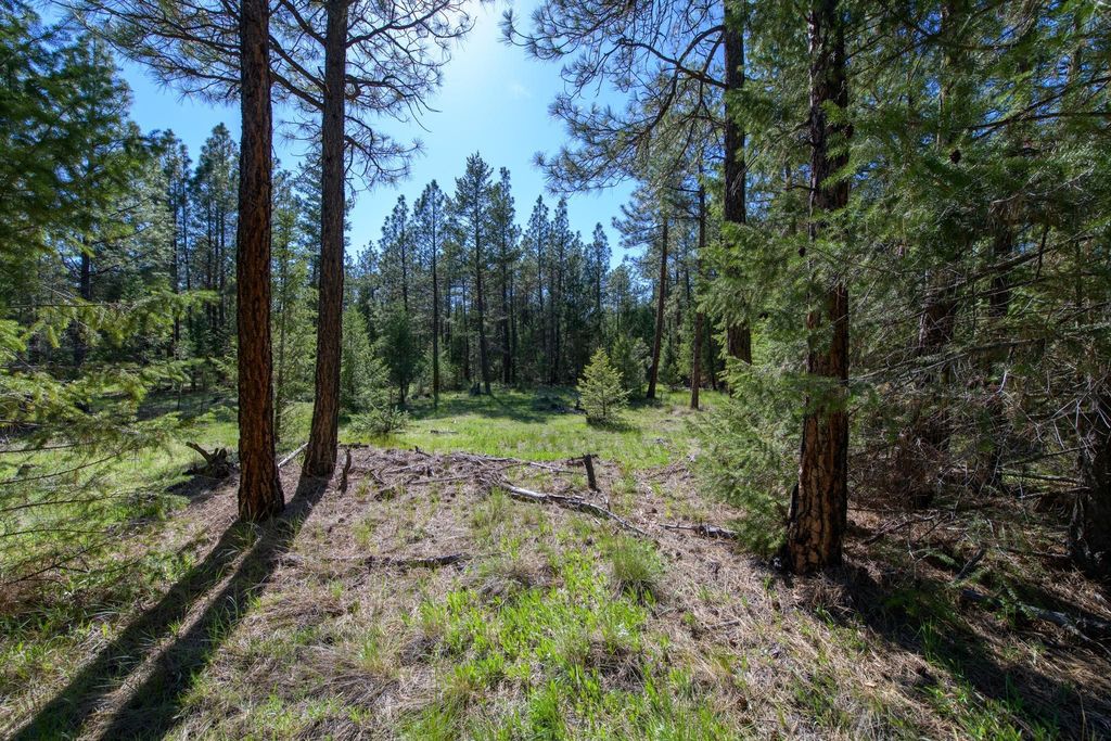 2650 Sophie Lake Road, Eureka, MT 59917 photo 18