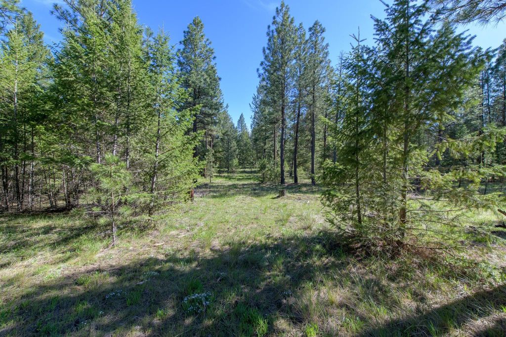 2650 Sophie Lake Road, Eureka, MT 59917 photo 19