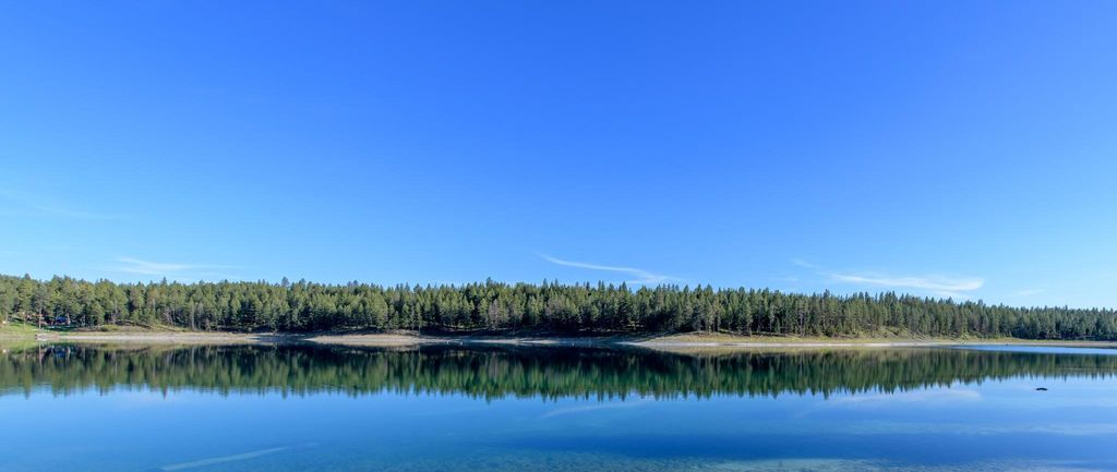 2650 Sophie Lake Road, Eureka, MT 59917 photo 2