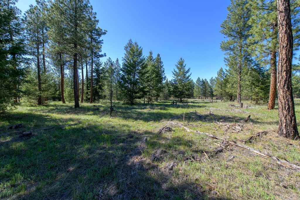 2650 Sophie Lake Road, Eureka, MT 59917 photo 20