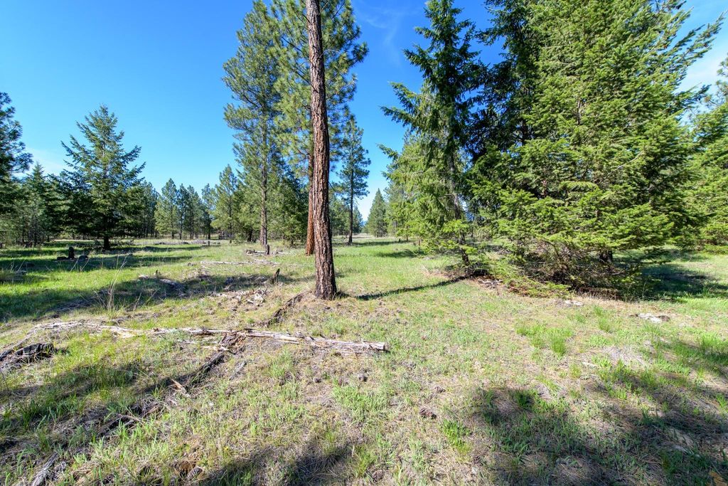 2650 Sophie Lake Road, Eureka, MT 59917 photo 21