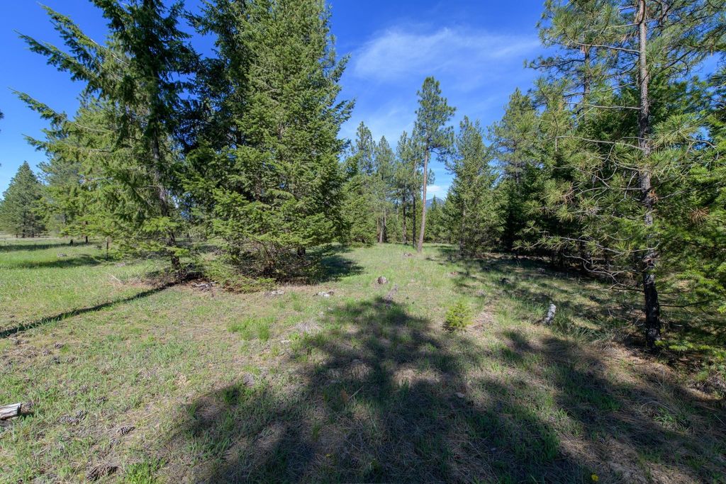 2650 Sophie Lake Road, Eureka, MT 59917 photo 22