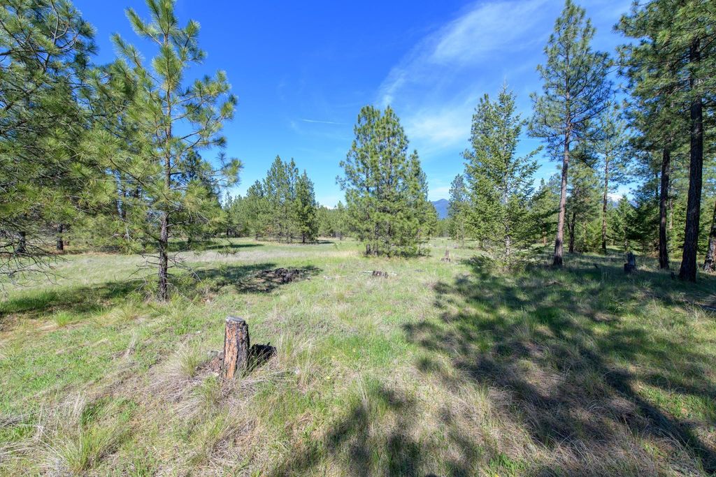 2650 Sophie Lake Road, Eureka, MT 59917 photo 23