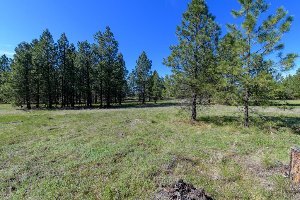 2650 Sophie Lake Road, Eureka, MT 59917 photo 24