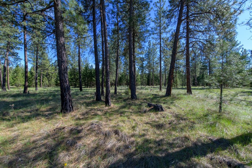 2650 Sophie Lake Road, Eureka, MT 59917 photo 25